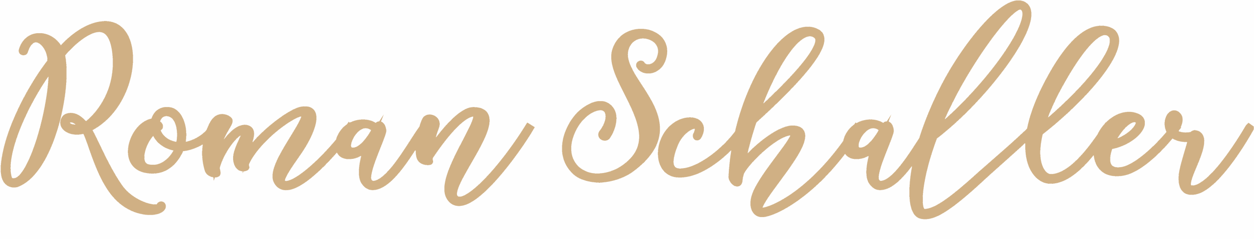 Logo, Roman Schaller